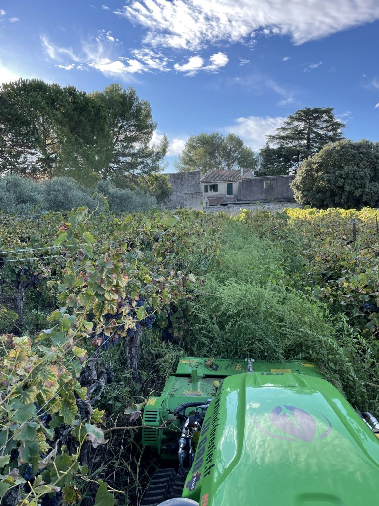 débroussaillage d'un terrain par Courrejou Paysagiste