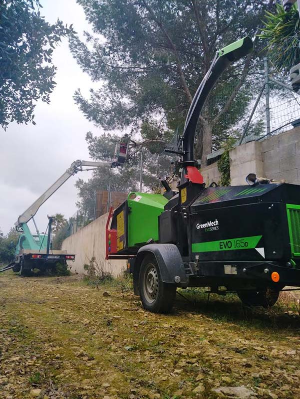 Taille de Haies et d'arbres par Courrejou Environnement