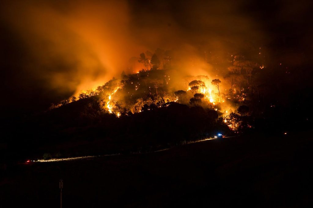 Feu de forets France - été 2022, une année noire